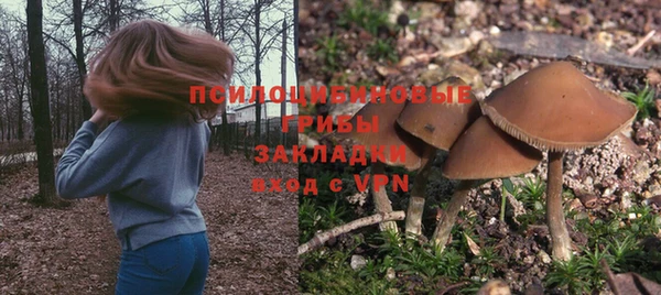 кристаллы Богданович