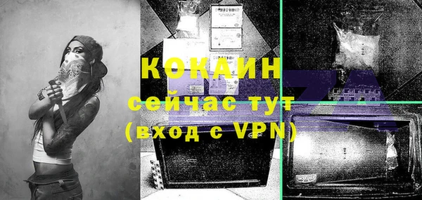mdpv Богородск