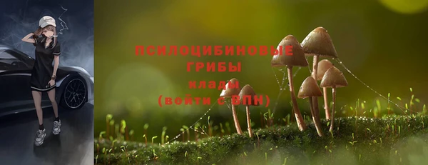 гидропоника Богородицк