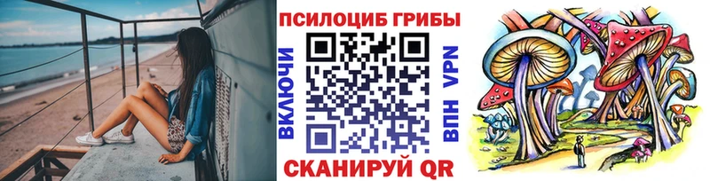 Галлюциногенные грибы GOLDEN TEACHER  Дятьково 